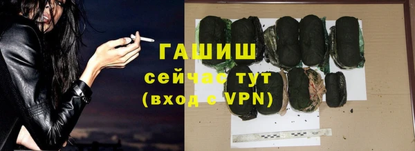 гашик Алексеевка