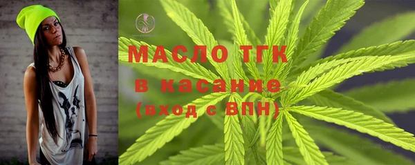 гашик Алексеевка