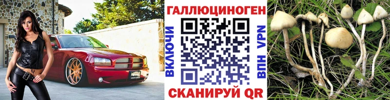 Галлюциногенные грибы Magic Shrooms  даркнет формула  Кизел 
