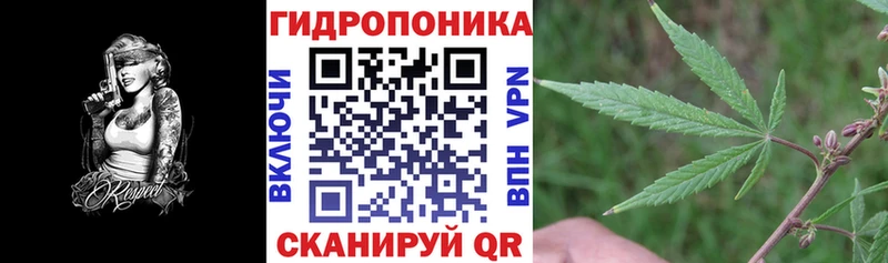 мориарти телеграм дарнет шоп гидра tor Кизел Канабис White Widow